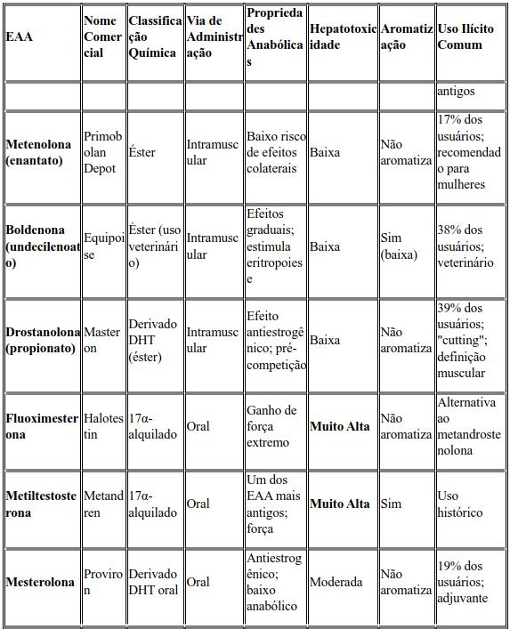 imagem5